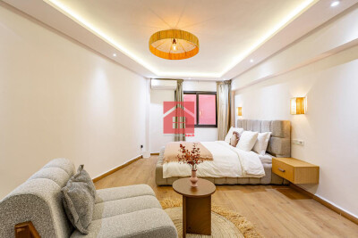 Duplex de luxe bien équipé à louer