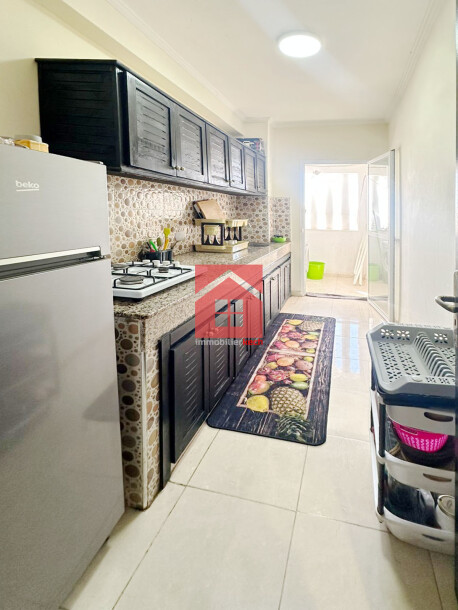 Bel appartement meublé avec 2 terrasse à louer-2